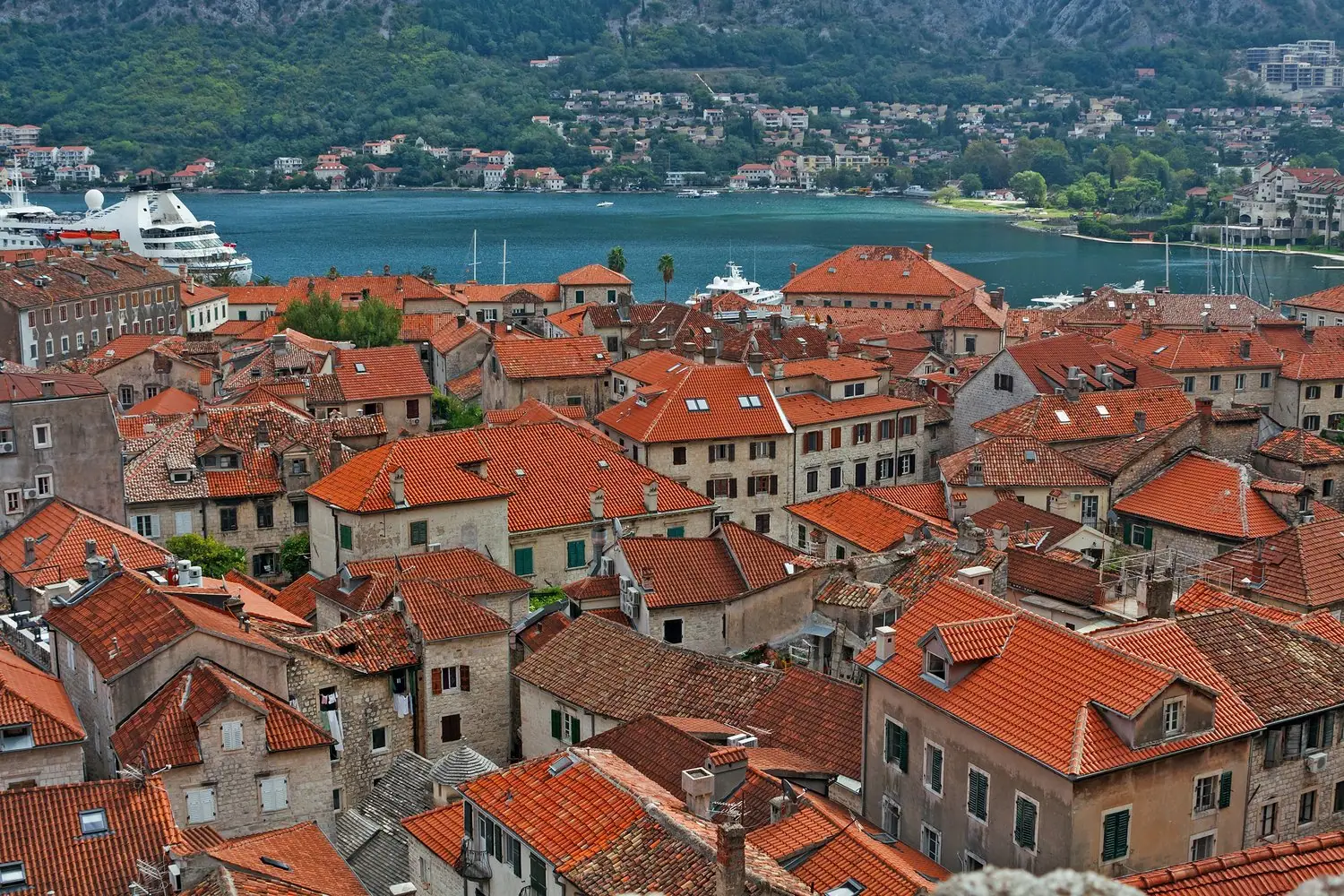 Czarnogóra kotor stare miasto atrakcje i praktyczne informacje